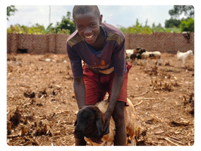 https://www.kapidernegi.com.tr/wp-content/uploads/2024/10/AFRIKADA-Kurba-LINK.png